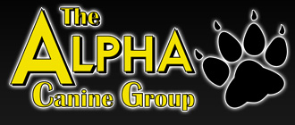 The Alpha Canine Group